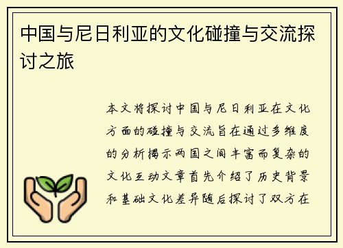 中国与尼日利亚的文化碰撞与交流探讨之旅