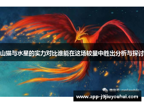 山猫与水星的实力对比谁能在这场较量中胜出分析与探讨